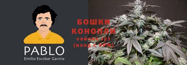 твердый Белокуриха