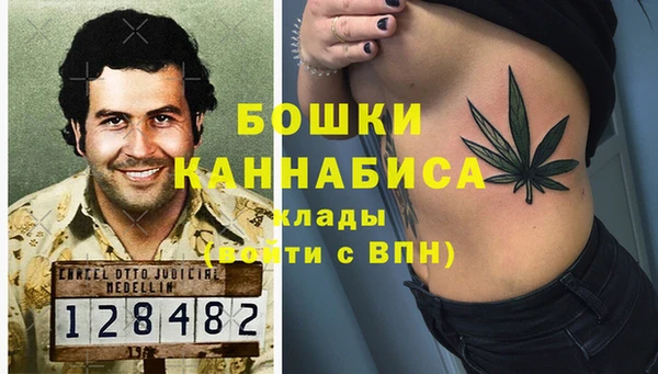 твердый Белокуриха