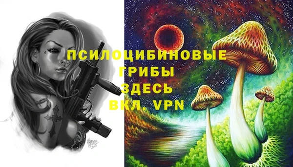твердый Белокуриха