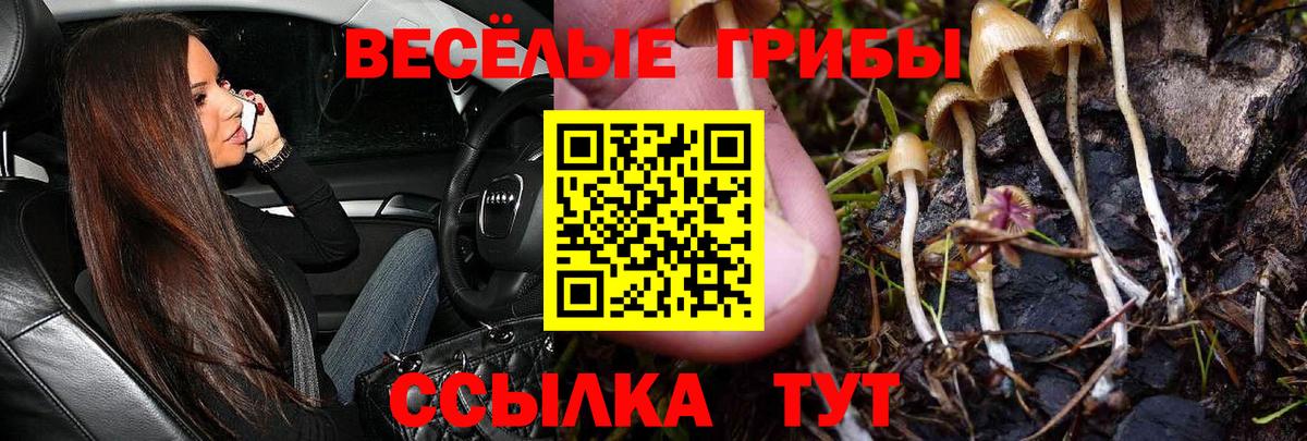 Псилоцибиновые грибы мицелий  Вход с VPN  Верхний Уфалей 